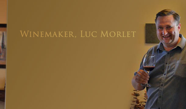 Linked Vineyards Winemaker, Luc Morlet